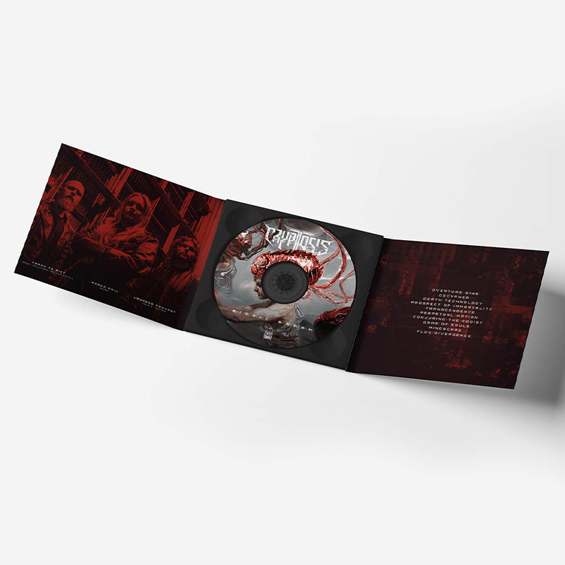 Attento-studio-della-grafica-richiesta